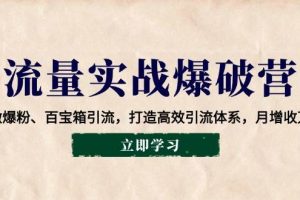 （14040期）AI代写变现项目，轻松撰写文案，信息差赚钱，月入过万不是梦