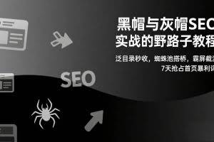 （17125期）黑帽与灰帽SEO实战的野路子教程：泛目录秒收，蜘蛛池搭桥，霸屏截流，7天抢占首页暴利词